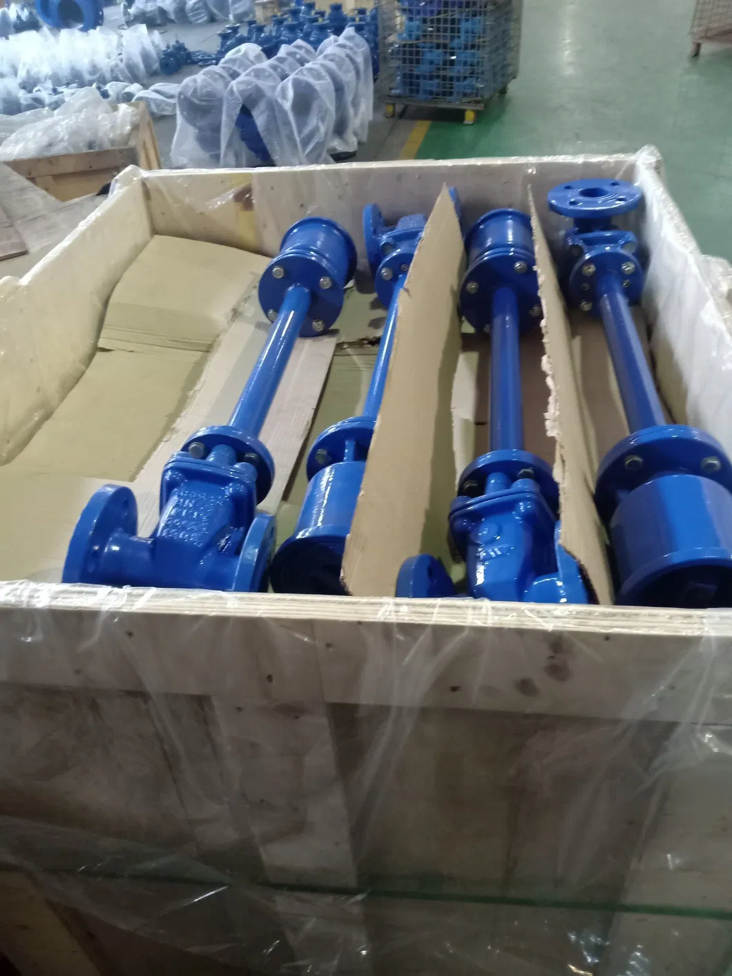 Butterfly Valve 18