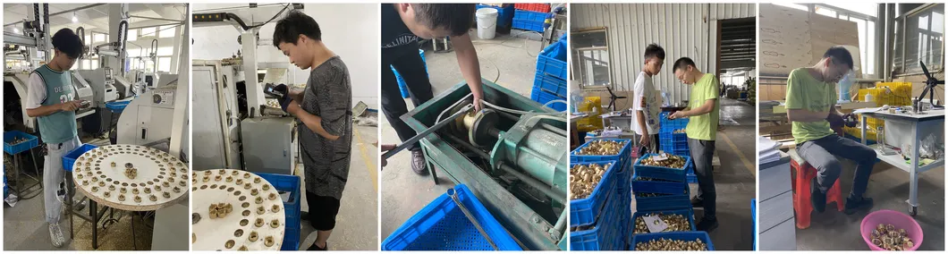 Brass Insert Fitting 12