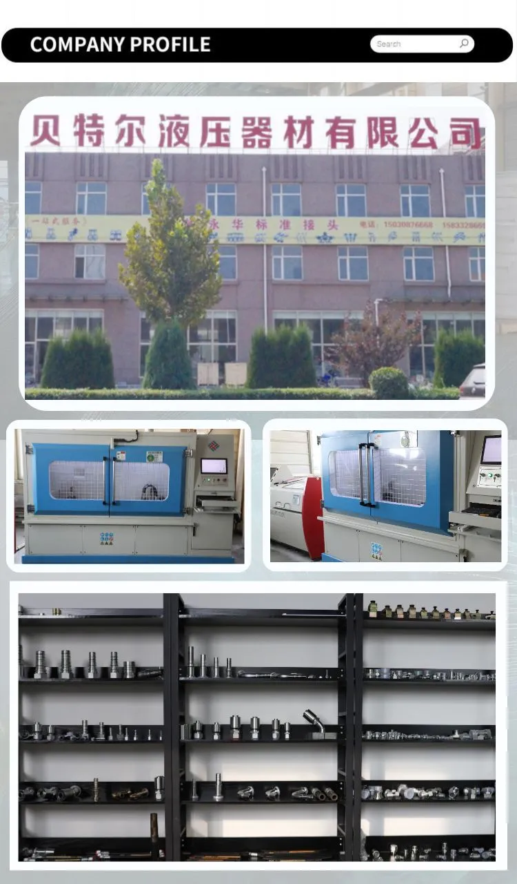 Hydraulic Fitting 10