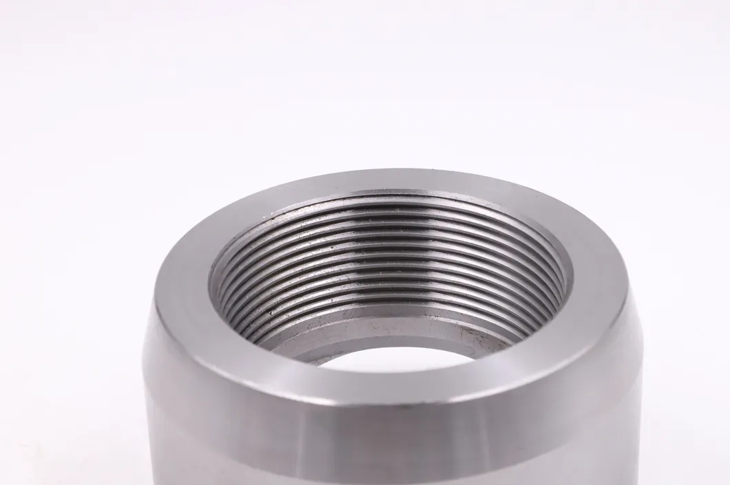 Carbon Steel Branch Outlet Fitting 1