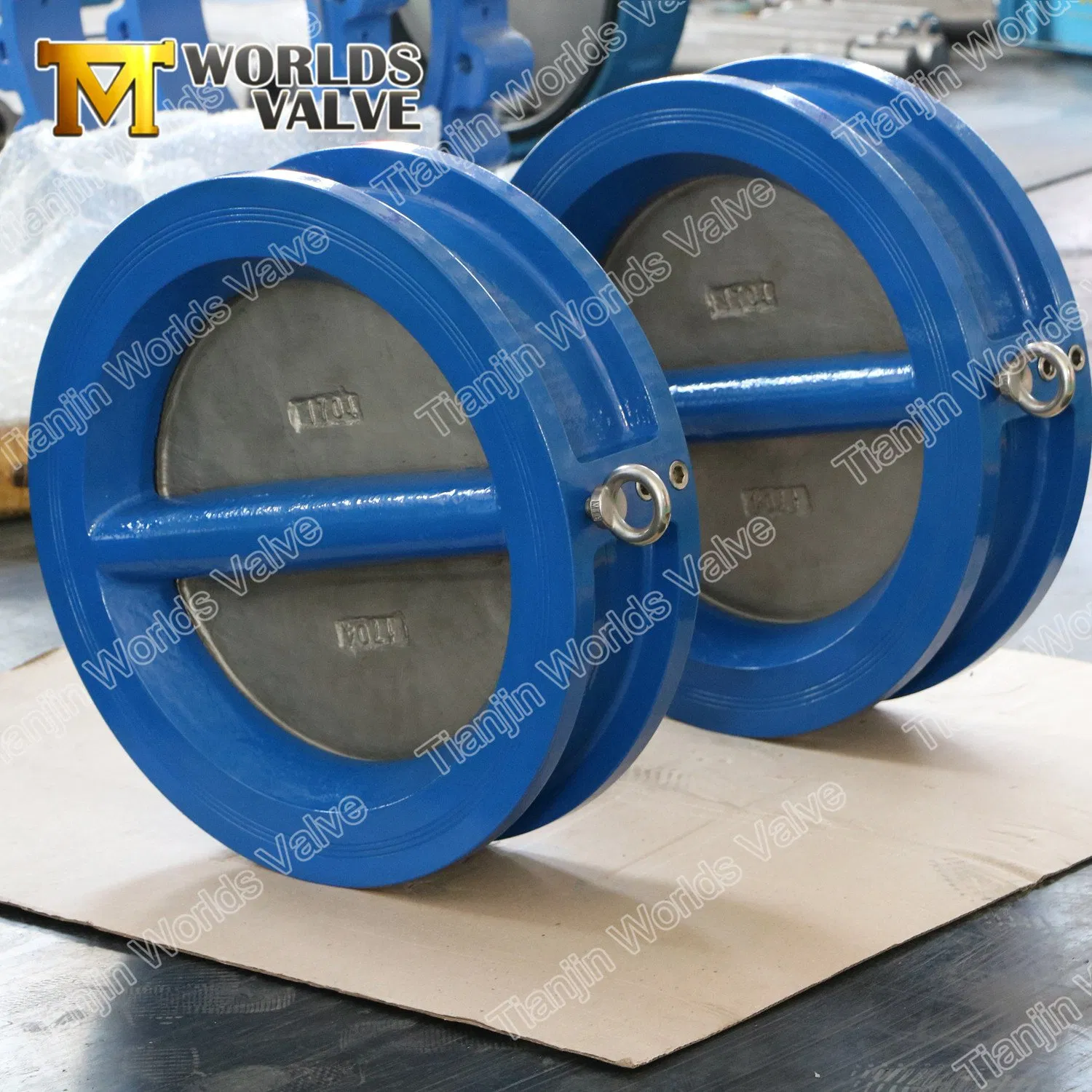 Casting Iron Wafer Type Double Door Dual Plate Check Valves Non Return Valve