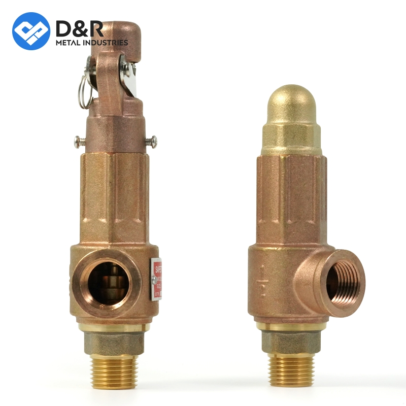 D&R High Quality DN25 Brass Safety Valve for Hot Water Boiler, 1 Inch Threaded/FM Psv Pressure Relief Valve