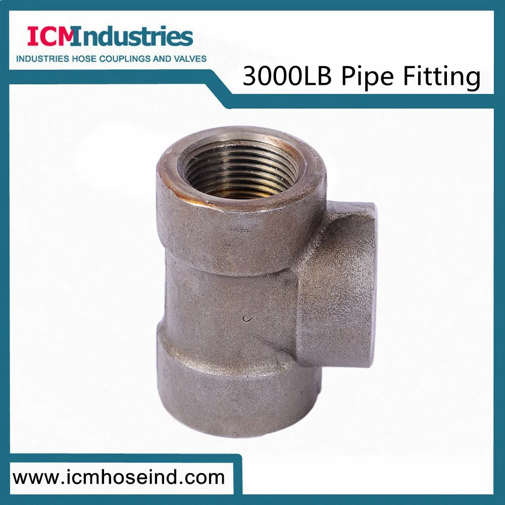 Forged Carbon Steel 3000 Lb Fittings