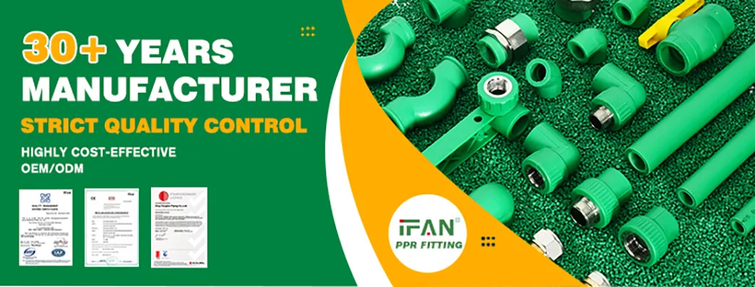 PPR Pipe Fittings Overview