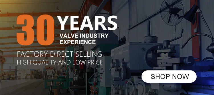 Butterfly Valve Overview