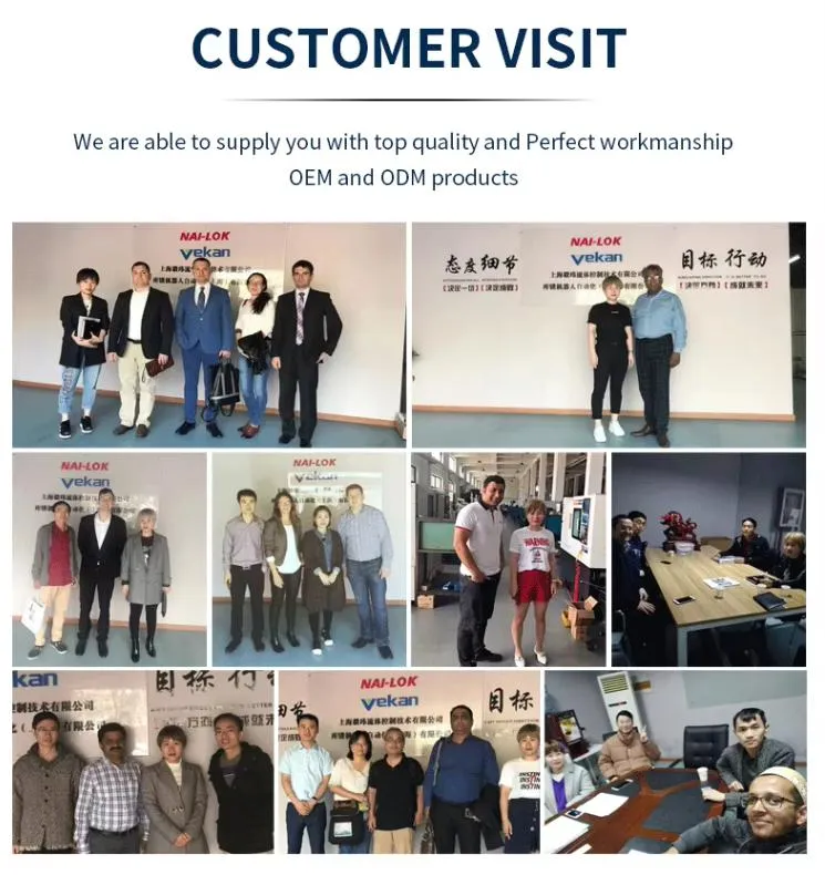 High Pressure Needle Valve 10