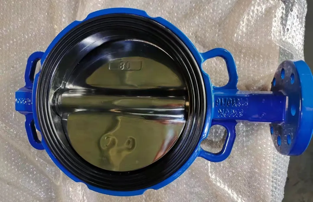 Butterfly Valve 5