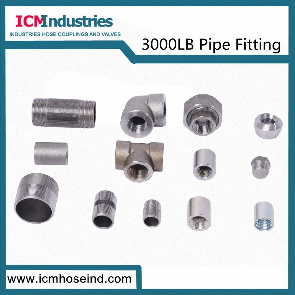 Forged Carbon Steel 3000 Lb Fittings