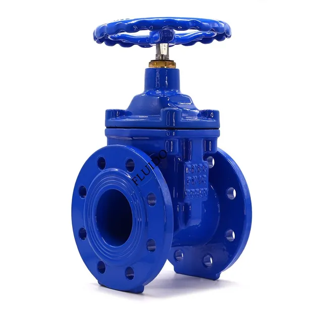 Gate Valve 1