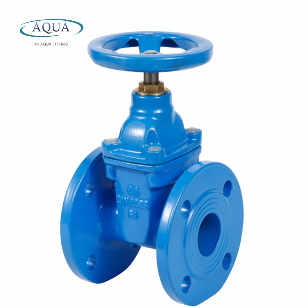 Di Gate Valve DIN3352 F4/F5 Soft Resilient Seated Flange Non-Rising Stem
