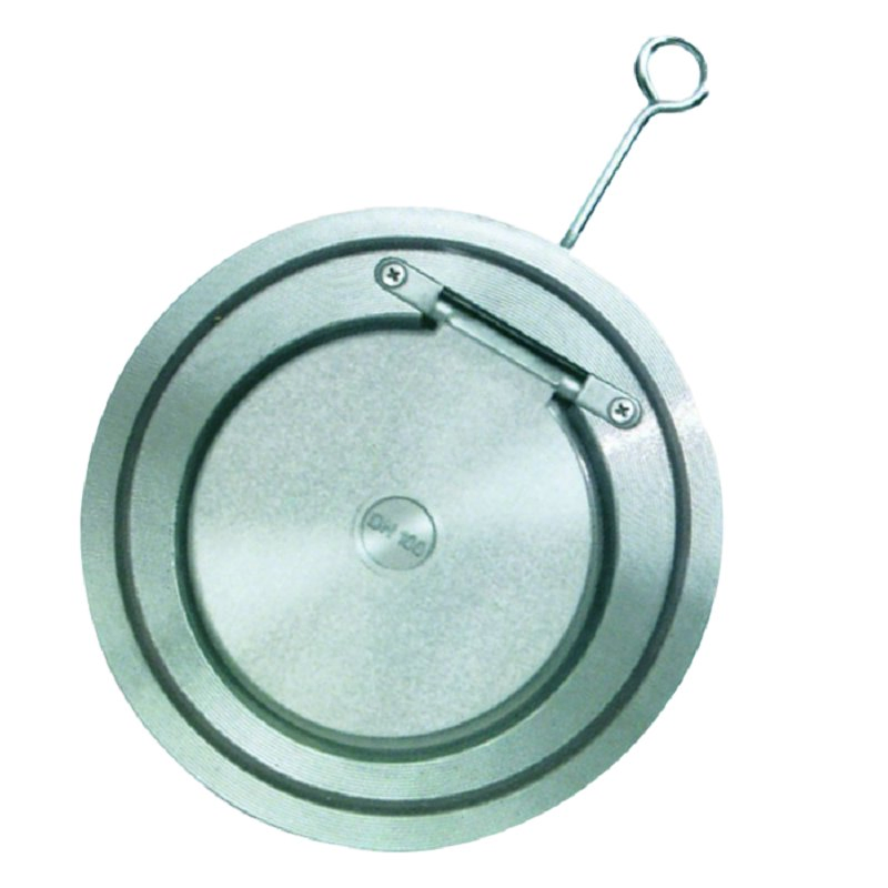 Ductile Cast Iron Brass Dual Plate Wafer Check Valve Non Return Check Valve