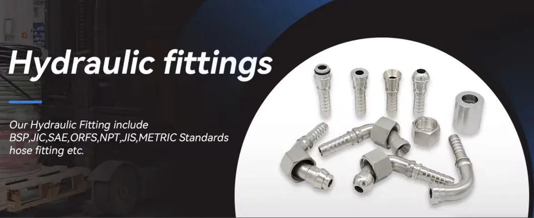 Hydraulic Hose Pipe Fittings