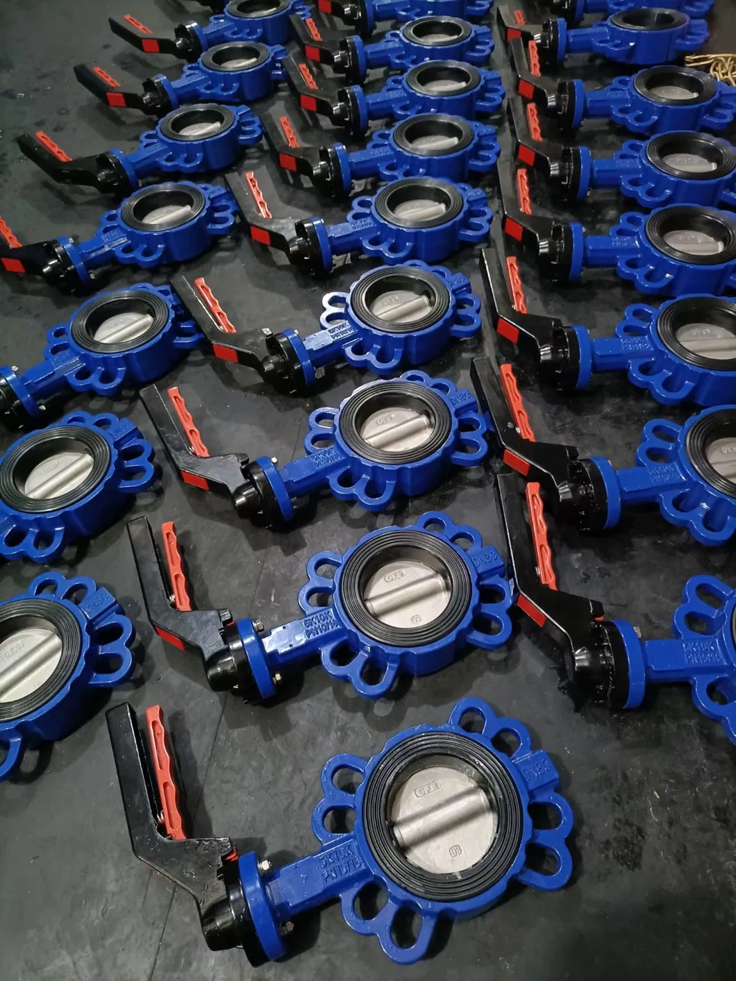 Butterfly Valve 2