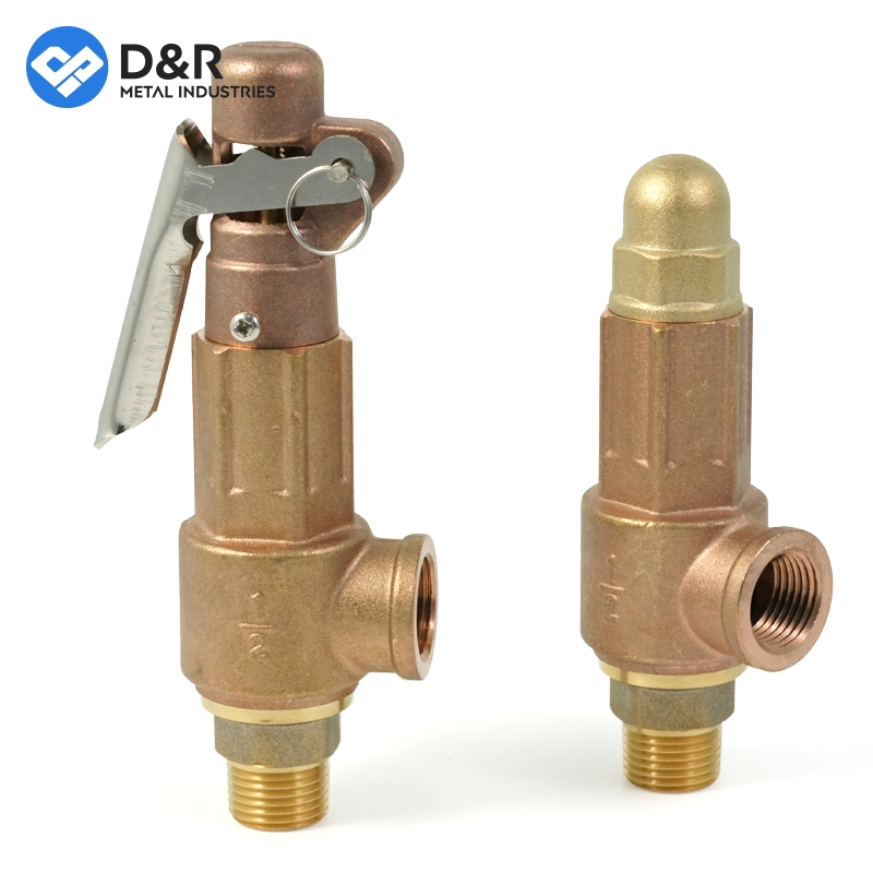 D&R High Quality DN25 Brass Safety Valve for Hot Water Boiler, 1 Inch Threaded/FM Psv Pressure Relief Valve