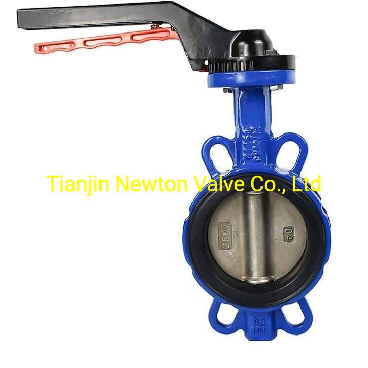 Resilient Seat Ductile Cast Iron Stainless Steel Aluminium Bronze Wafer Semi Lug Lugged Double Eccentric Flange Butterfly Gate Globe Check Valve Y Strainer