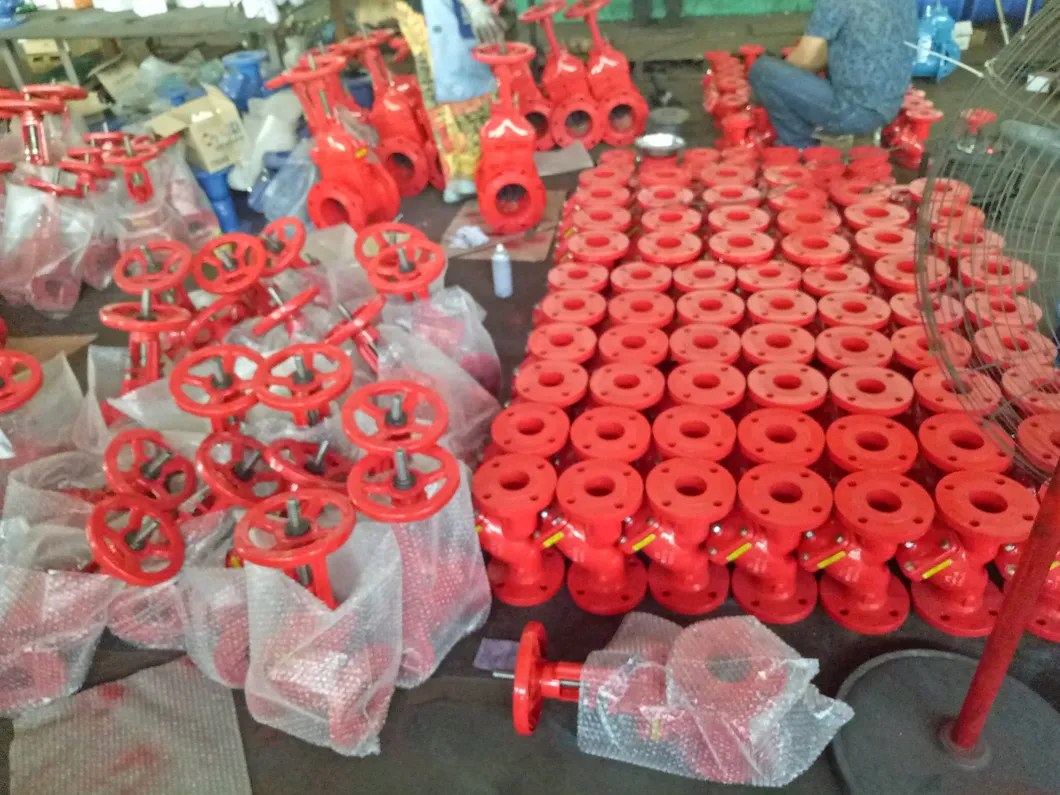 Butterfly Valve 12