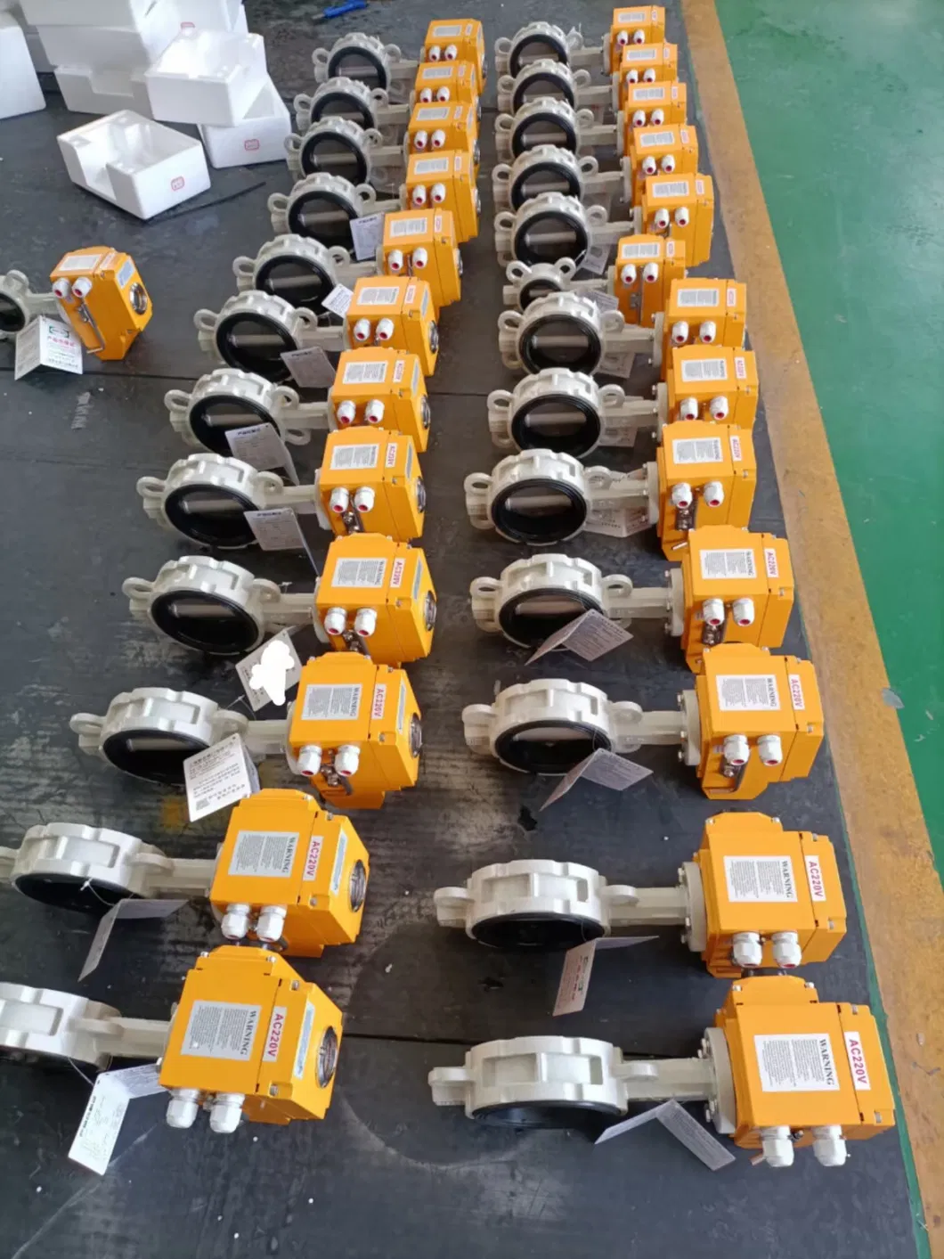 Butterfly Valve 3