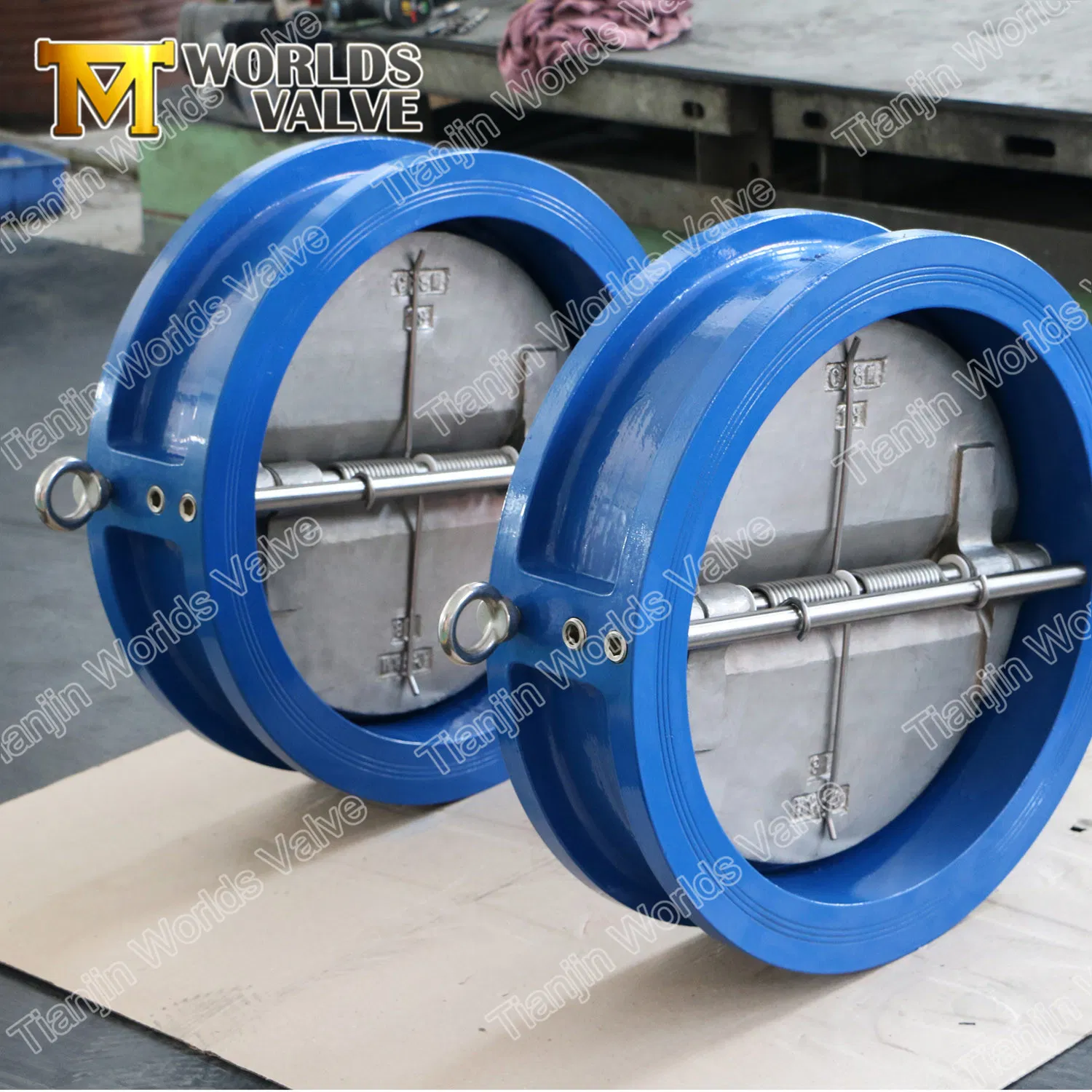 Casting Iron Wafer Type Double Door Dual Plate Check Valves Non Return Valve