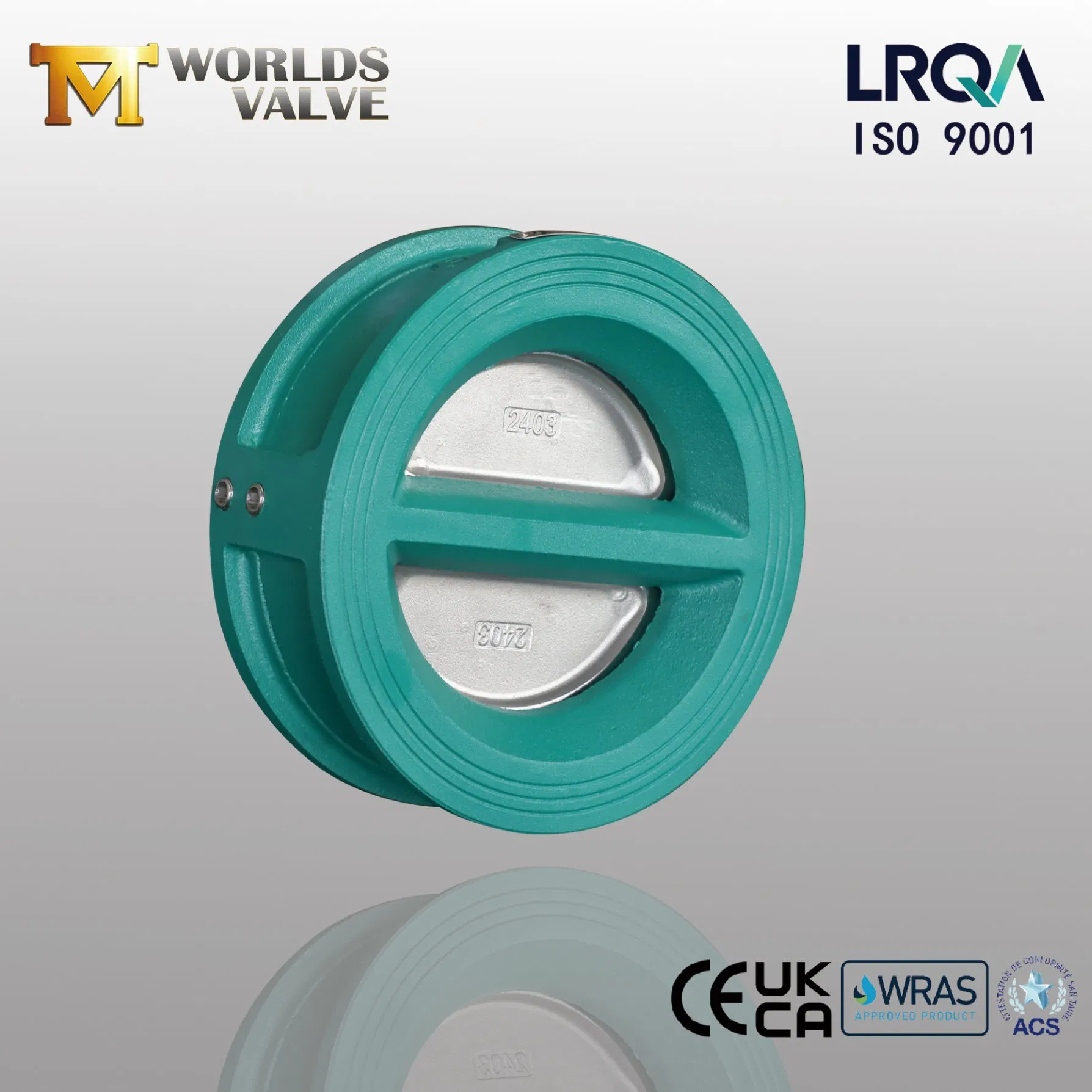 Casting Iron Wafer Type Double Door Dual Plate Check Valves Non Return Valve