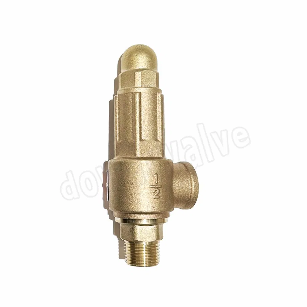 Brass Bronze Forging Control High Pressure Reduce Relief Safety Valve
