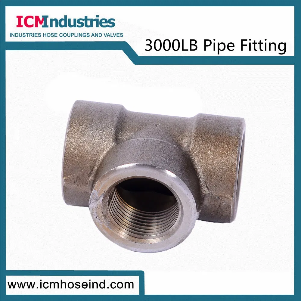 Forged Carbon Steel 3000 Lb Fittings