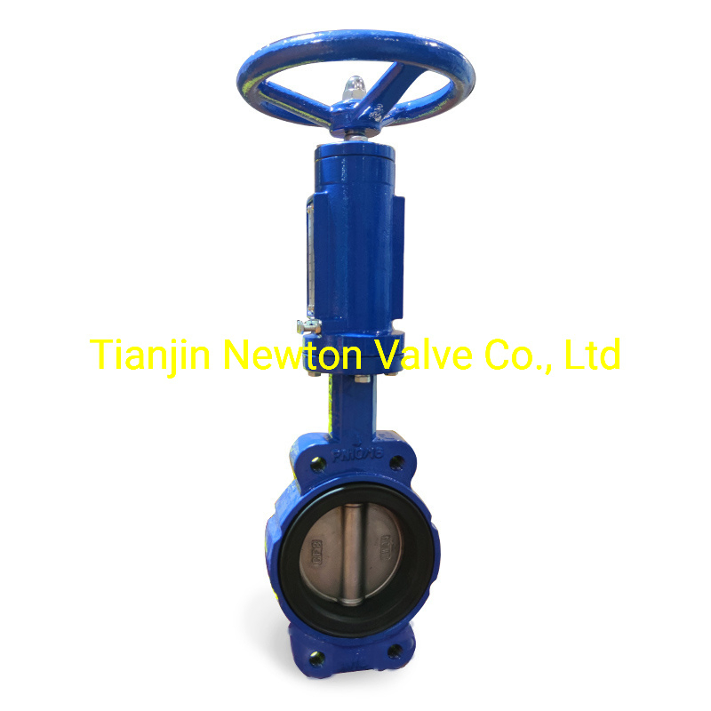 Resilient Seat Ductile Cast Iron Stainless Steel Aluminium Bronze Wafer Semi Lug Lugged Double Eccentric Flange Butterfly Gate Globe Check Valve Y Strainer