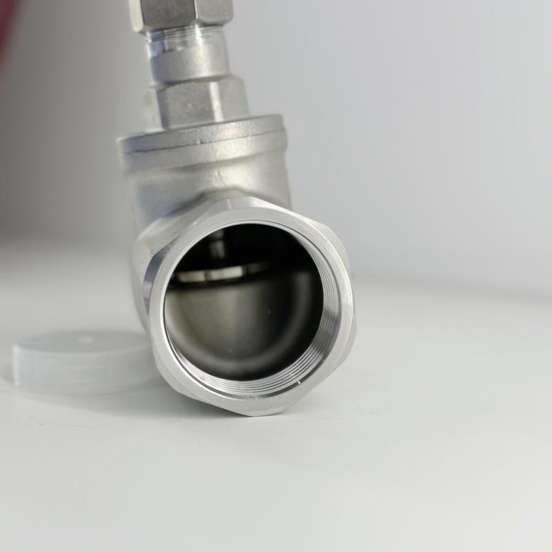 SS304 SS316 Thread Stainless Steel Globe Valve BSPT NPT Bsp