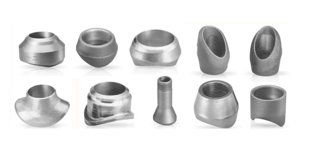 Forged Stainless Steel Weldolet Sockolet Fittings