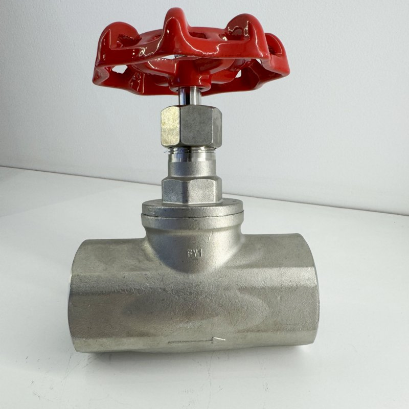 SS304 SS316 Thread Stainless Steel Globe Valve BSPT NPT Bsp