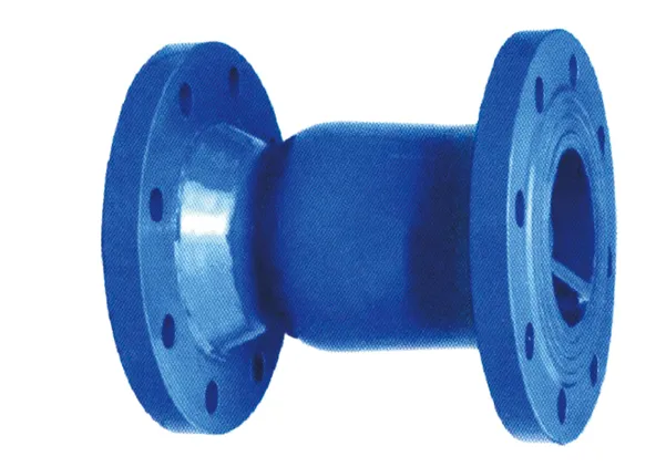 Check Valve Detail 2