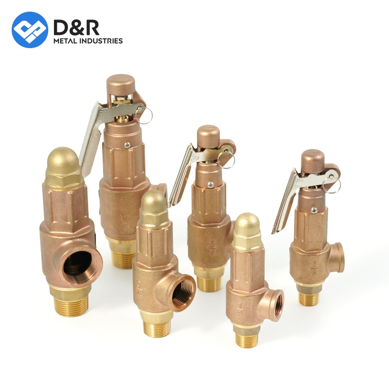 D&R High Quality DN25 Brass Safety Valve for Hot Water Boiler, 1 Inch Threaded/FM Psv Pressure Relief Valve