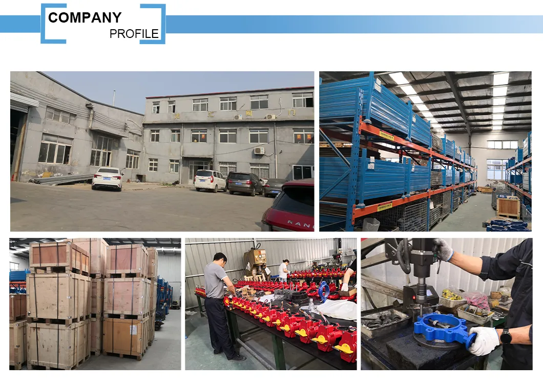 Quality Control Process