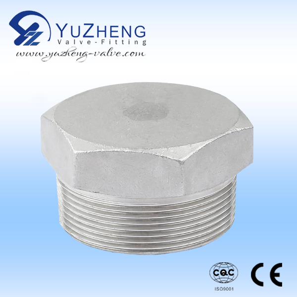 Socket Weld Pipe and High Pressure Pipe Fitting Exporter