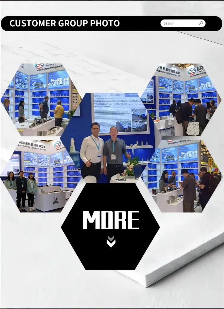 Hydraulic Fitting 12