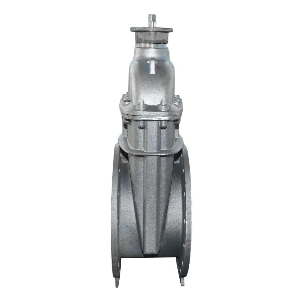 2026 New Series Design Resilient Seated Cast Iron Gate Valve /Industrial Valve /Gate Valve Good Price Btval