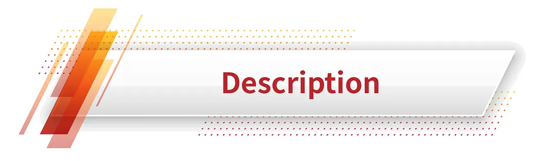 Safety Relief Valve Diagram