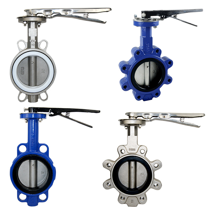 ANSI CF8 Di Ci EPDM PTFE Strong Acid Ductile Iron Lever Opreated Wafer Lug Butterfly Valve China Suppliers
