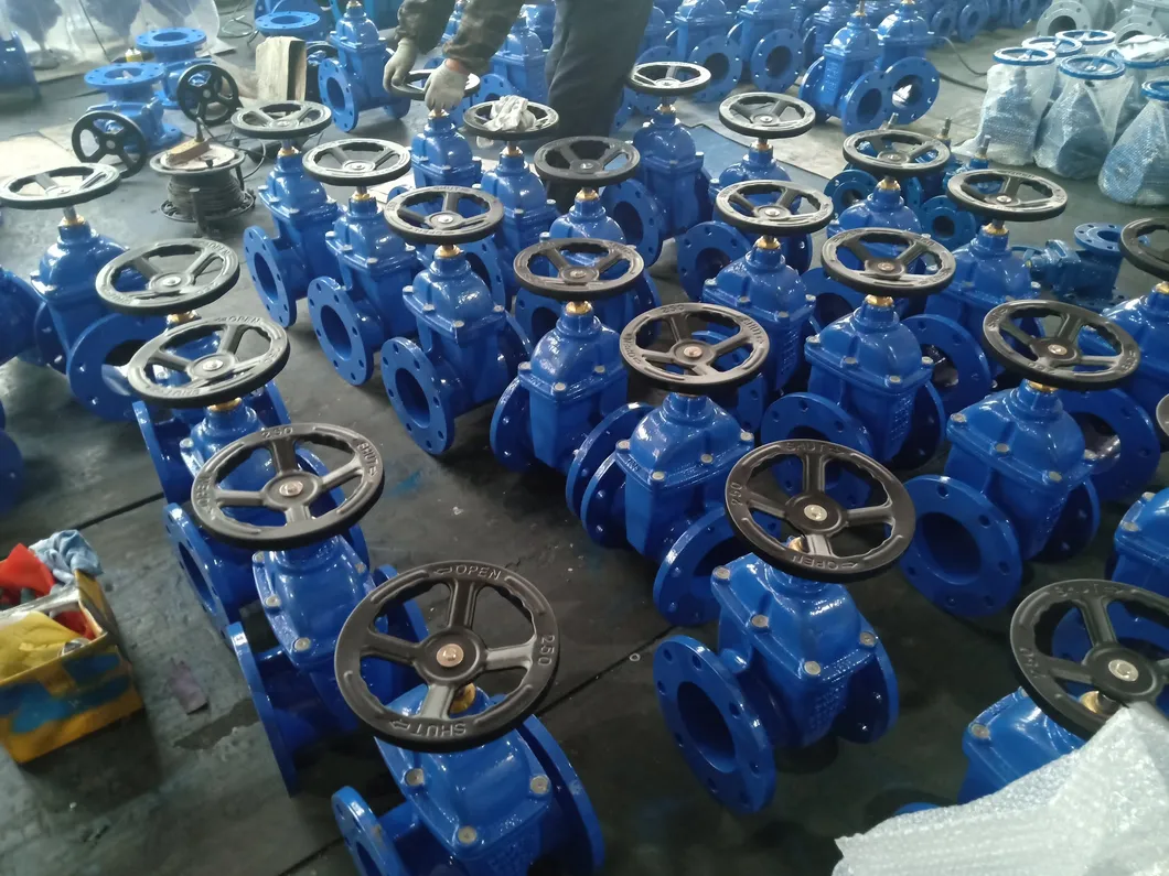 Butterfly Valve 17