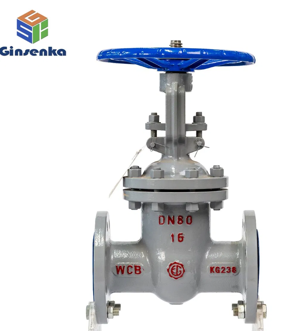 National standard carbon steel flange gate valve