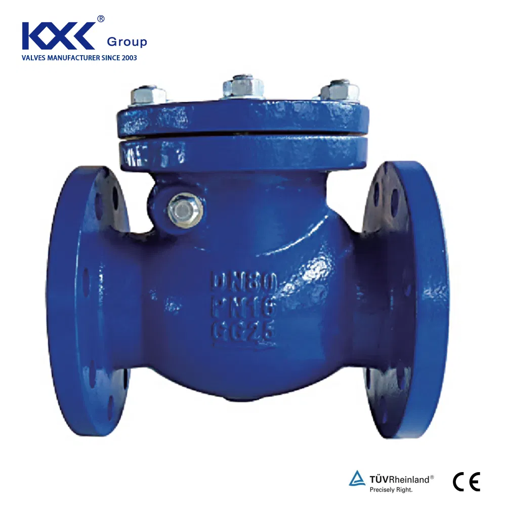 Pn16 Duction Cast Iron Body Flang Silence Double Plate Swing Lift Ball Type Non Return Valve Check Valve
