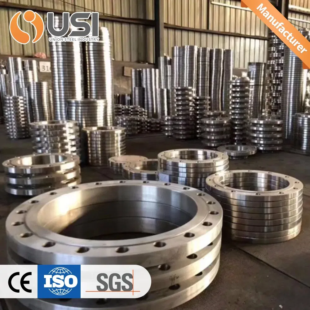 ANSI Cl150 Stainless Steel SS304/316L Forged Weld Neck Flange Fitting