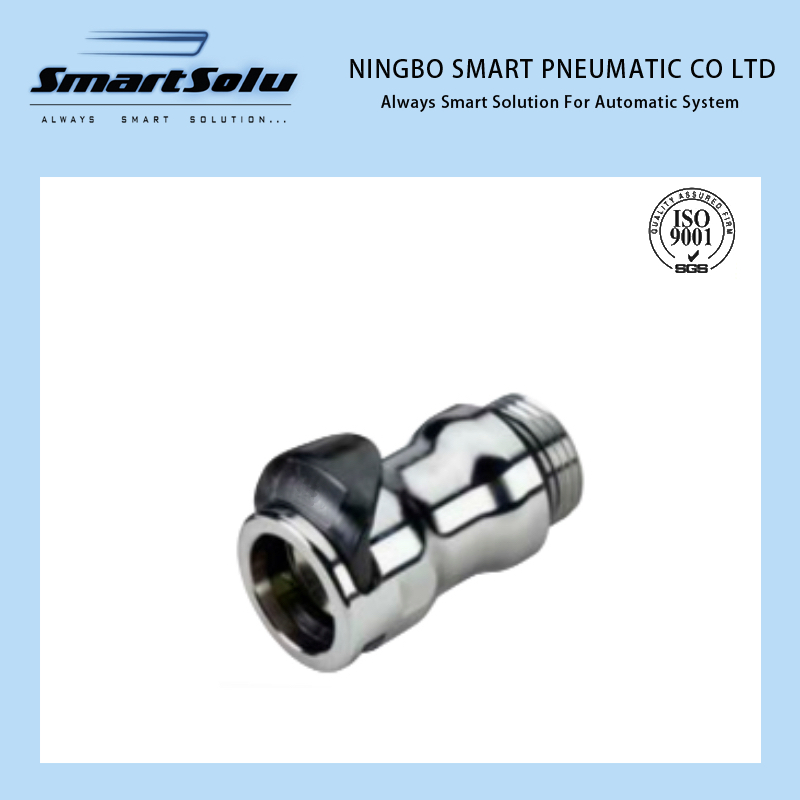 Lq8 Series Brass Quick Disconnect Straight Thread G/BSPP Cooling Push-to-Connect Coupling Body