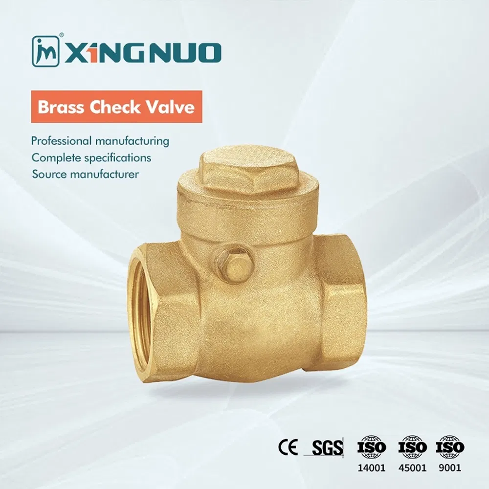 Check Valve Application