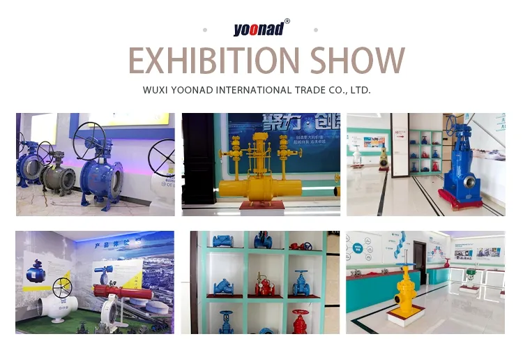 Cast Steel Globe Valve