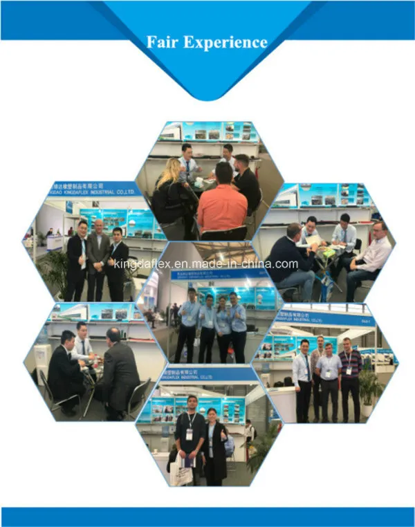 Exhibition Experience