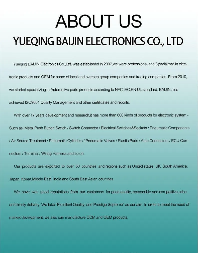 Heavy-Duty Panel Mount Female Pipe Connector 7