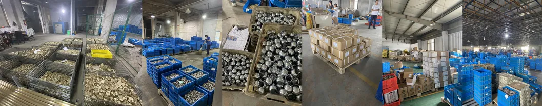 Brass Insert Fitting 9