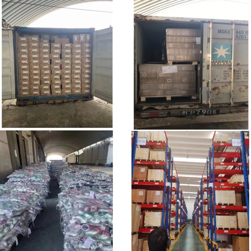 Packaging and Logistics