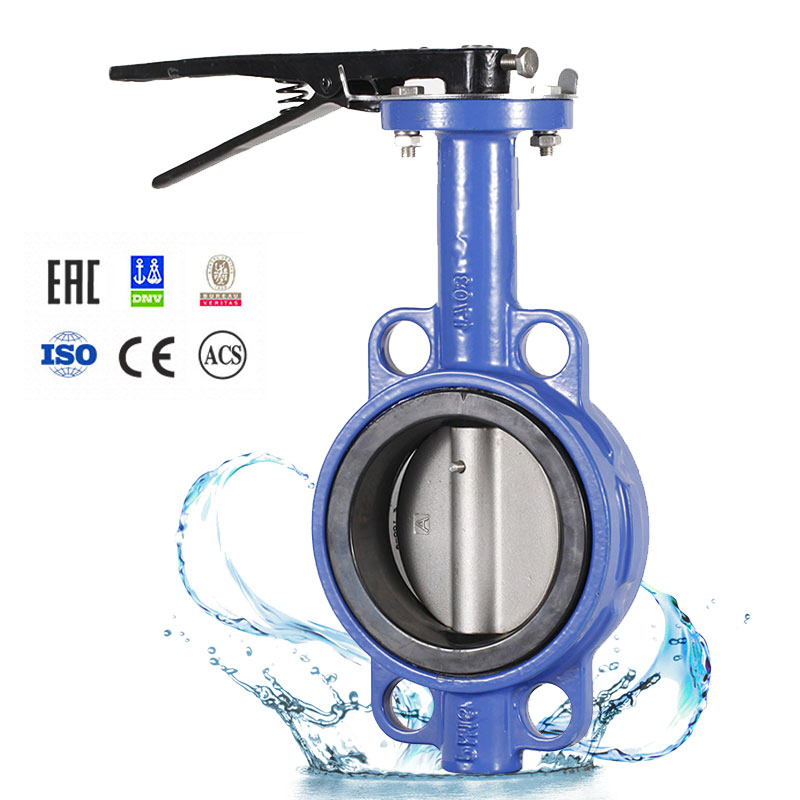 ANSI CF8 Di Ci EPDM PTFE Strong Acid Ductile Iron Lever Opreated Wafer Lug Butterfly Valve China Suppliers