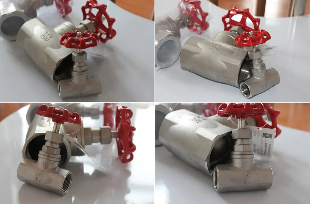 Stainless Steel Globe Valve Detailed View